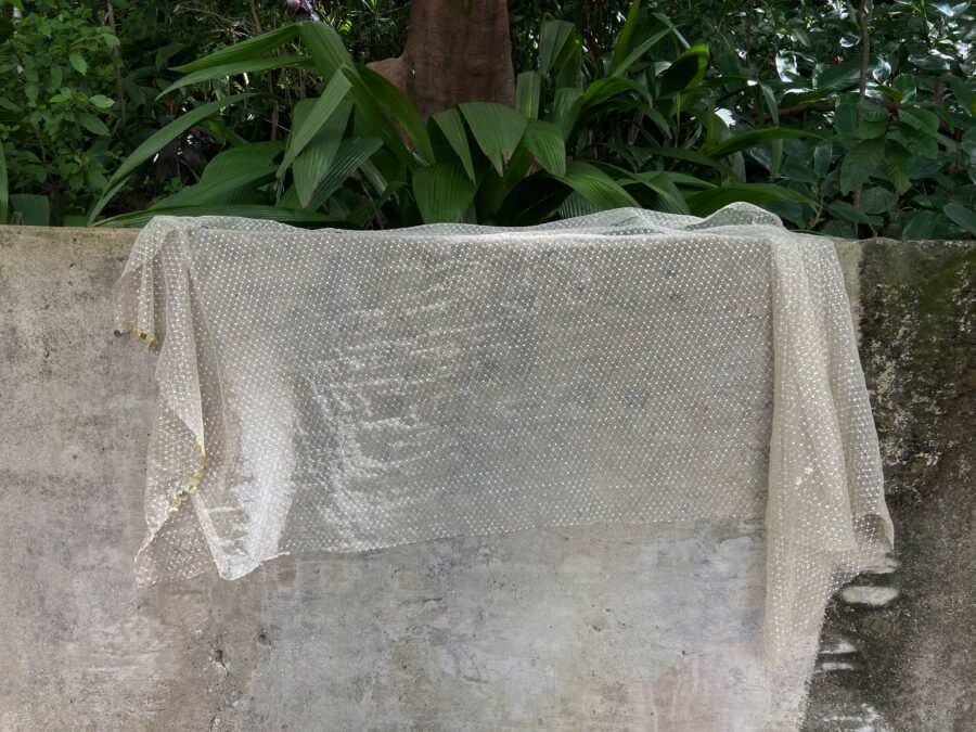 Lenço Dourado - Image 8