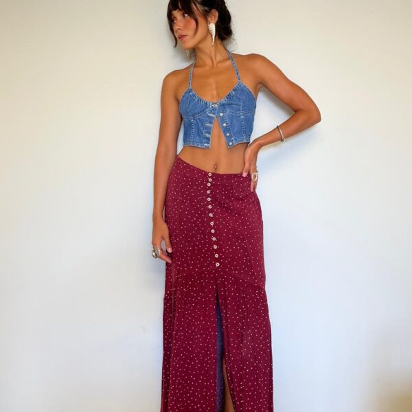 Saia Vix Paula Hermanny